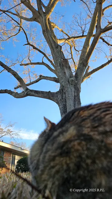 Rivertown Exhibition Hall