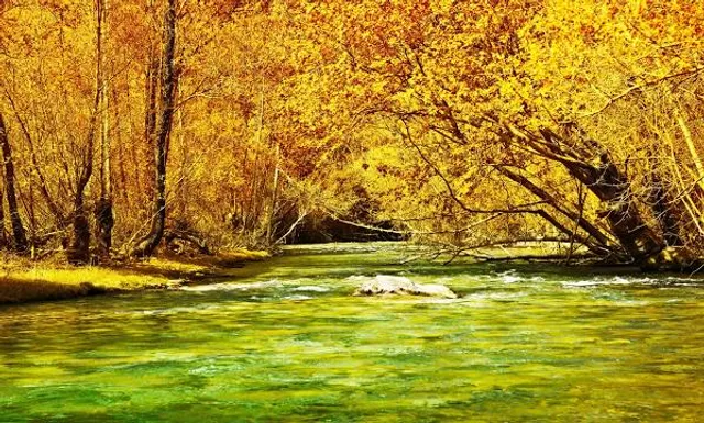 Emmeringer Hölzl, Park