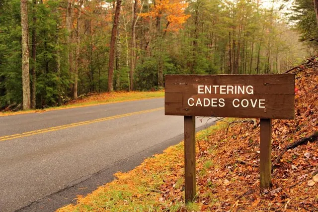Cades Cove Picnic Area