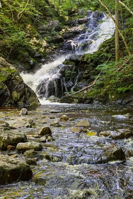 MacIntosh Brook Trailhead