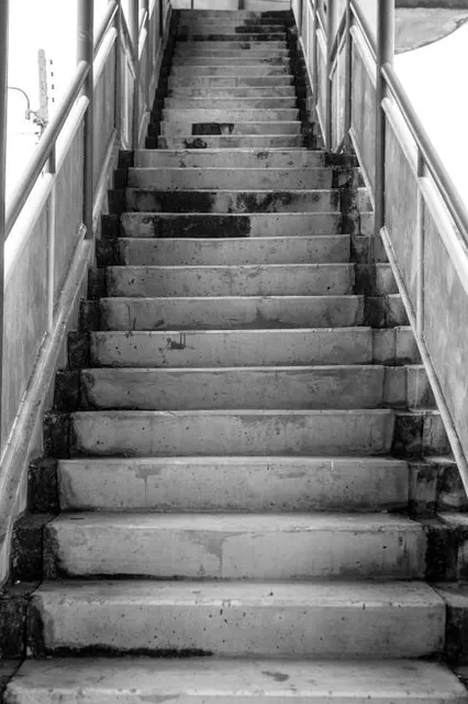 Tőserdő Holt Tisza