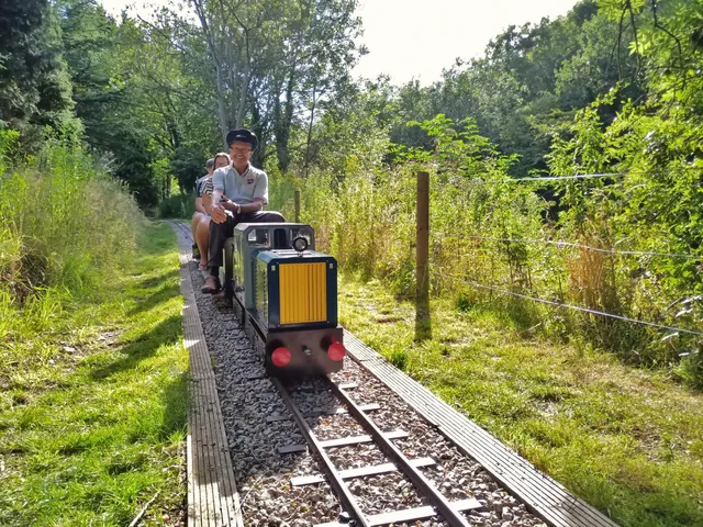 Bridge View Light Railway