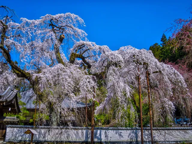Iwamatsuyama Seiun Temple