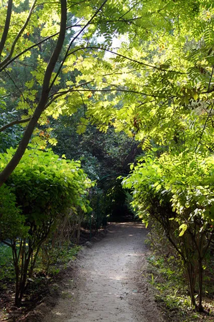 Arboretum Krasnoarmeiskii