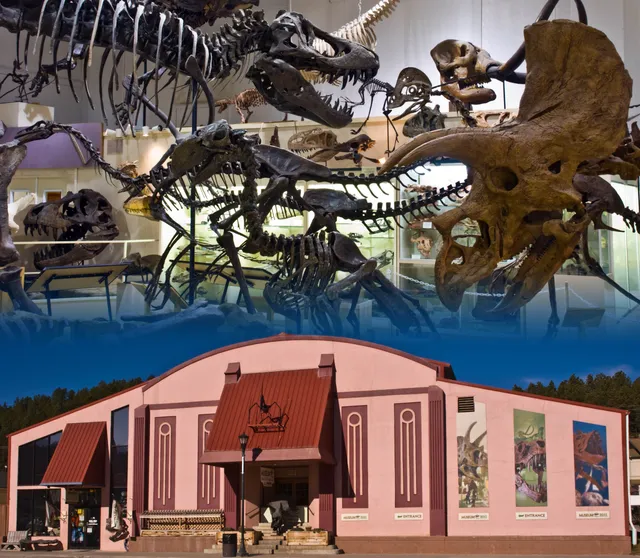 Museum @ Black Hills Institute