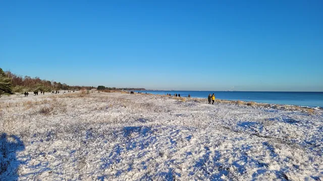 Solrød Municipality