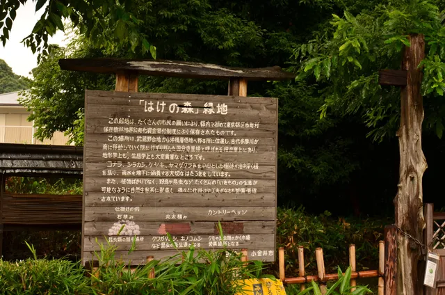 Hakenomori Ryokuchi Park