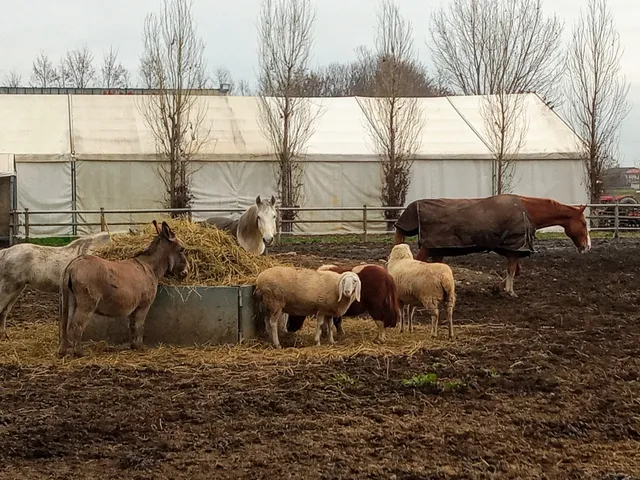 Parco rurale sovracomunale Civiltà delle Rogge