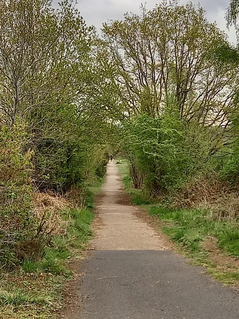 Burlish Top Nature Reserve