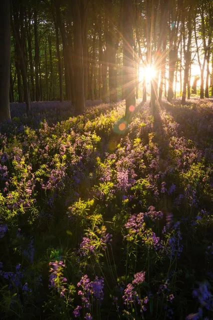 Rouge National Urban Park, Bob Hunter Memorial Park