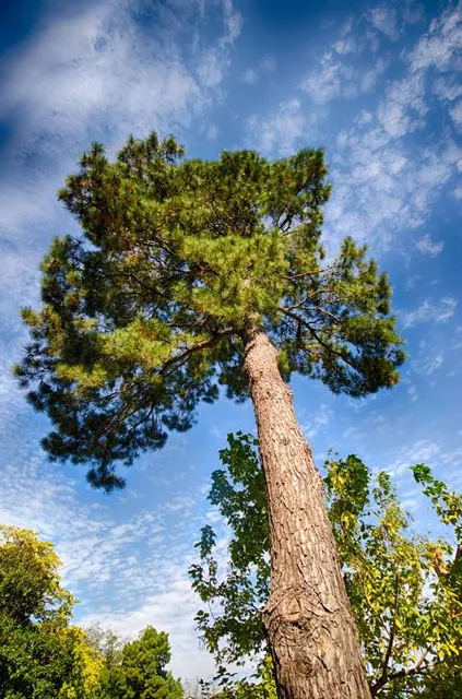 Historic Washington State Park