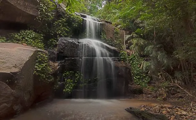 Tupah Recreational Forest