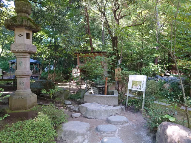 Takeda Japanese Water Harp