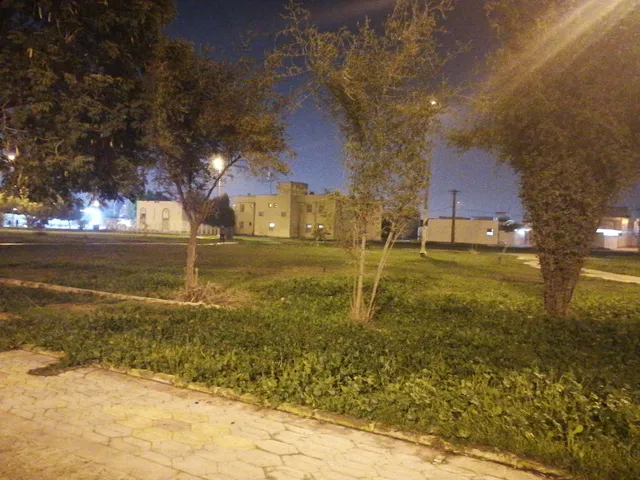 Shahed Park