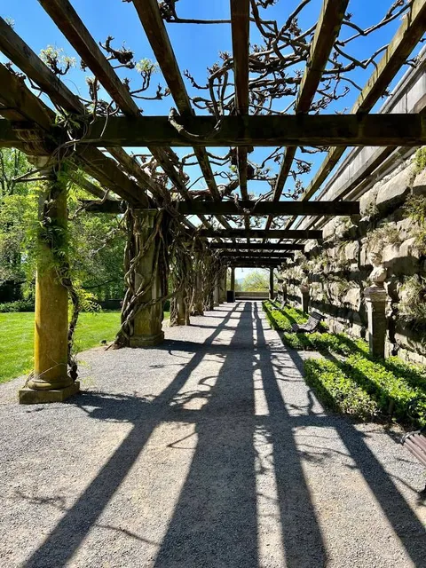 Biltmore Azalea Garden