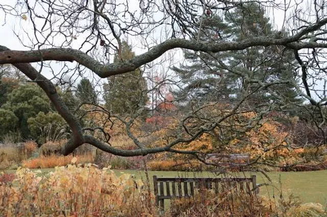 RHS Garden Harlow Carr