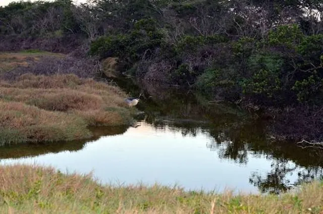 Kanaha Pond State Wildlife Sanctuary