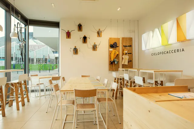 Mamm Ciclofocacceria