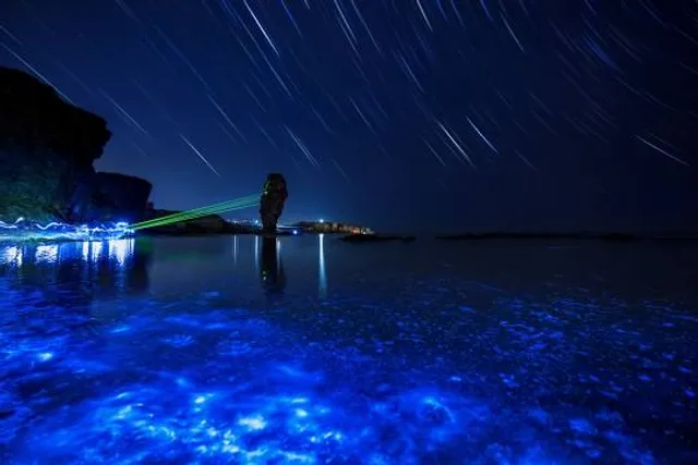 Bahía Bioluminiscente