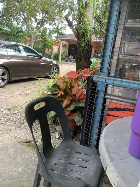 Mak Ngah Mee Dan Pasembor