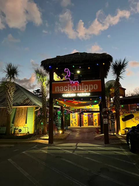 Nacho Hippo