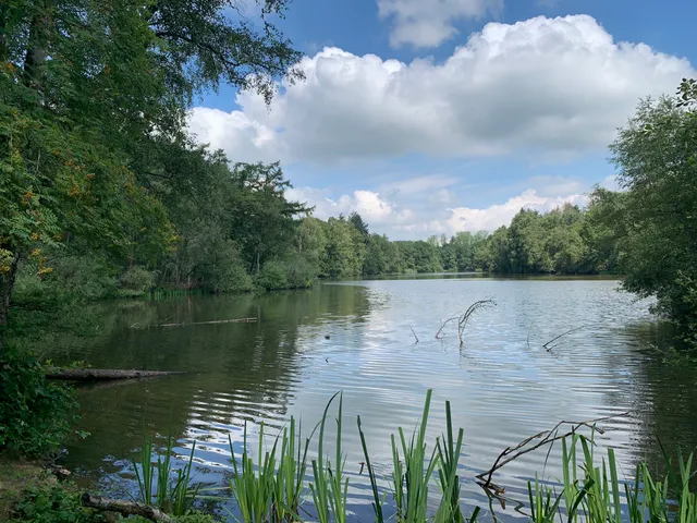 Baardwijkse Overlaat