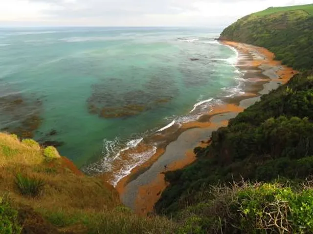 Bushy Beach Scenic Reserve