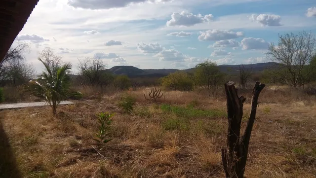 Fazenda Verdes Pastos