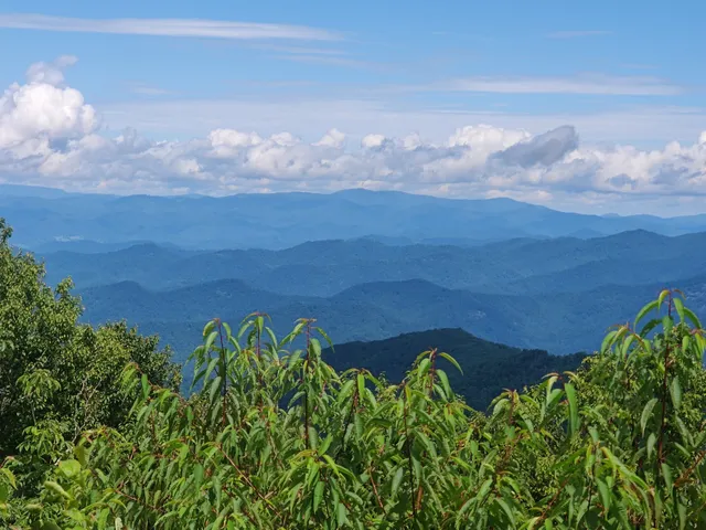 Craggy Gardens Picnic Area