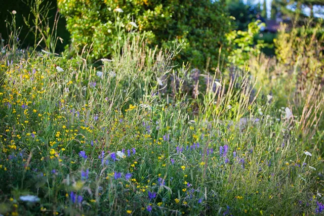 Mille et un Jardins Sàrl