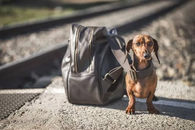 Karawatha Forest Discovery Centre