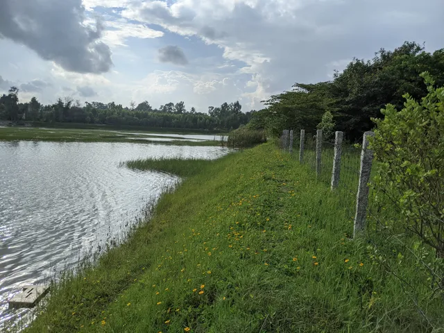 Kyalasanahalli Lake