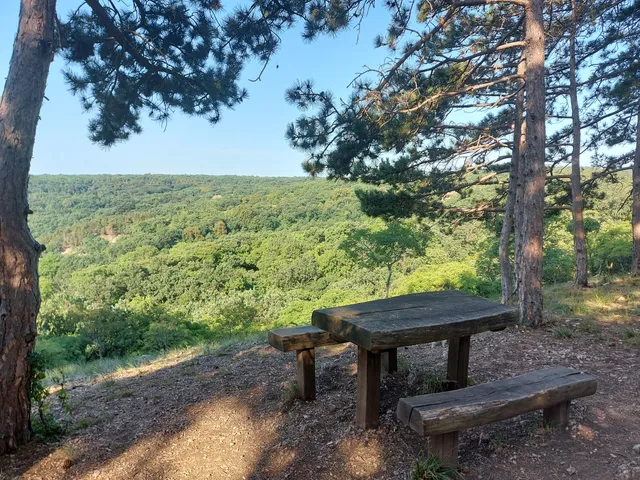 Vértesi Panoráma Tanösvény