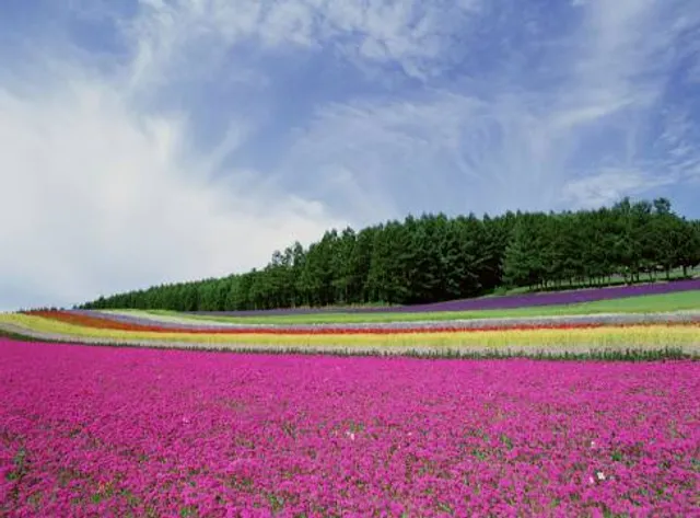 Parc du Château de Maintenon