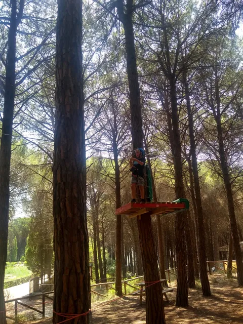 Parco Dossi-Comuni Di Lamezia Terme