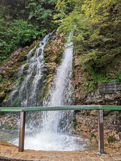 Cascade Urlătoarea