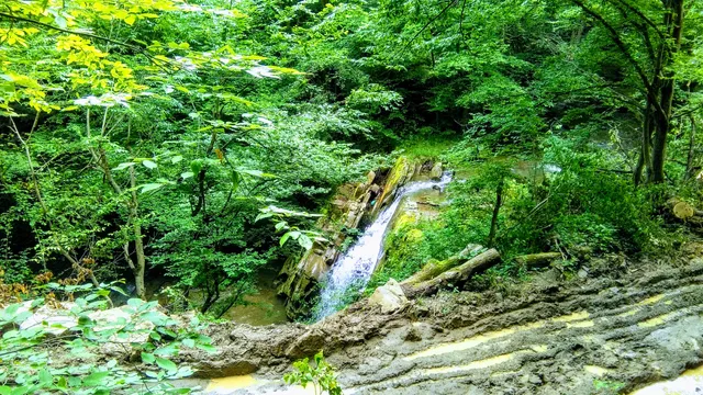 Beetle jump Troyan Bulgaria