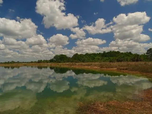 Weekiwachee Preserve