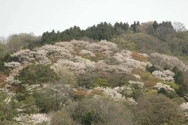 Takayasuyama