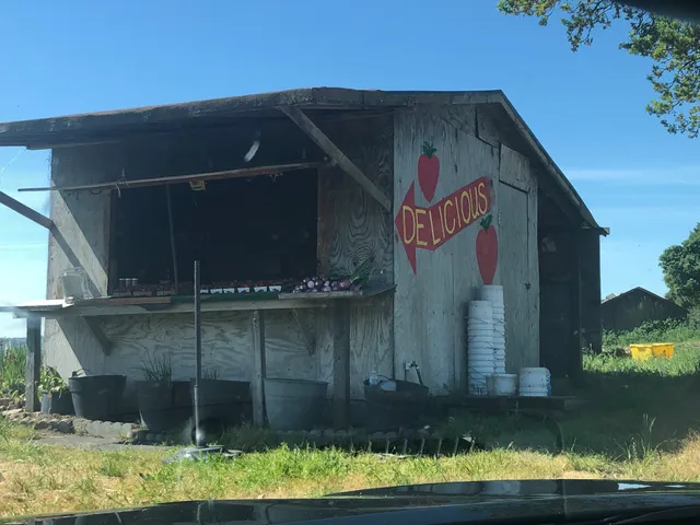 Stony Point Strawberry Farm