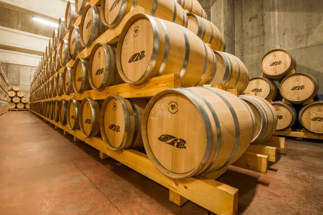 Bodegas de Los Ríos Prieto