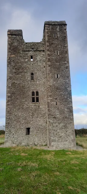 Roodstown Castle