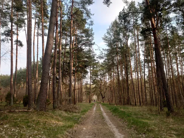 Dyrekcja Parku Narodowego "Bory Tucholskie"
