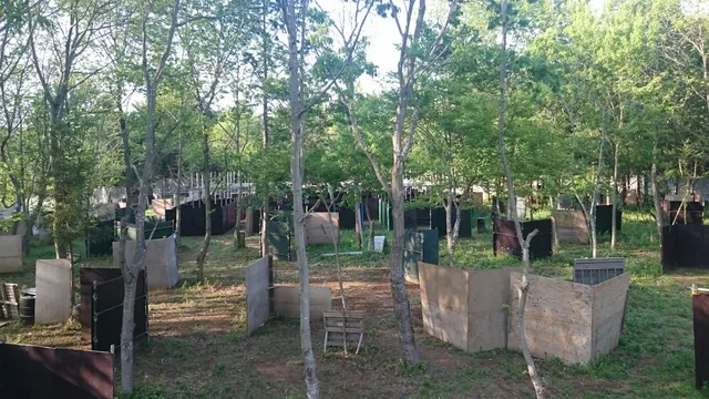 Omisaba Sabaibaru Game Field