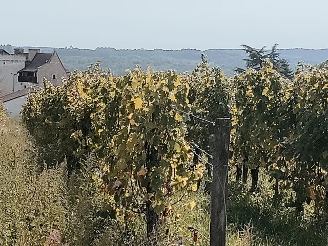 Château du Haut-Pezaud