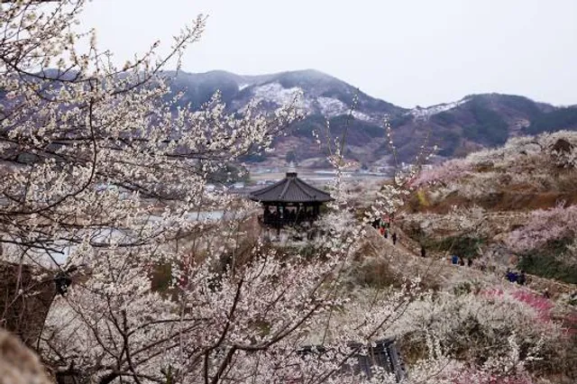 Plum Village - Lower Hamlet