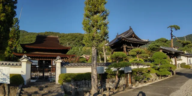 photo-2