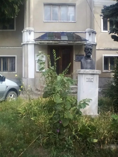 Nicolae Gane Museum