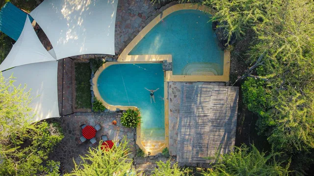 The Drunken Elephant Mara