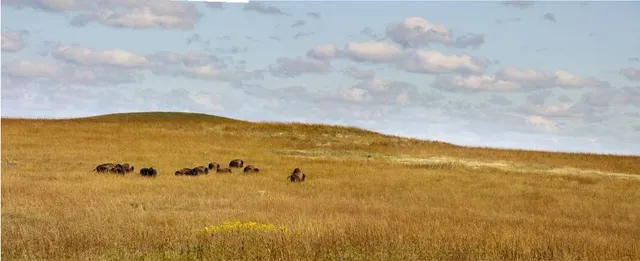 Tallgrass Prairie National Preserve